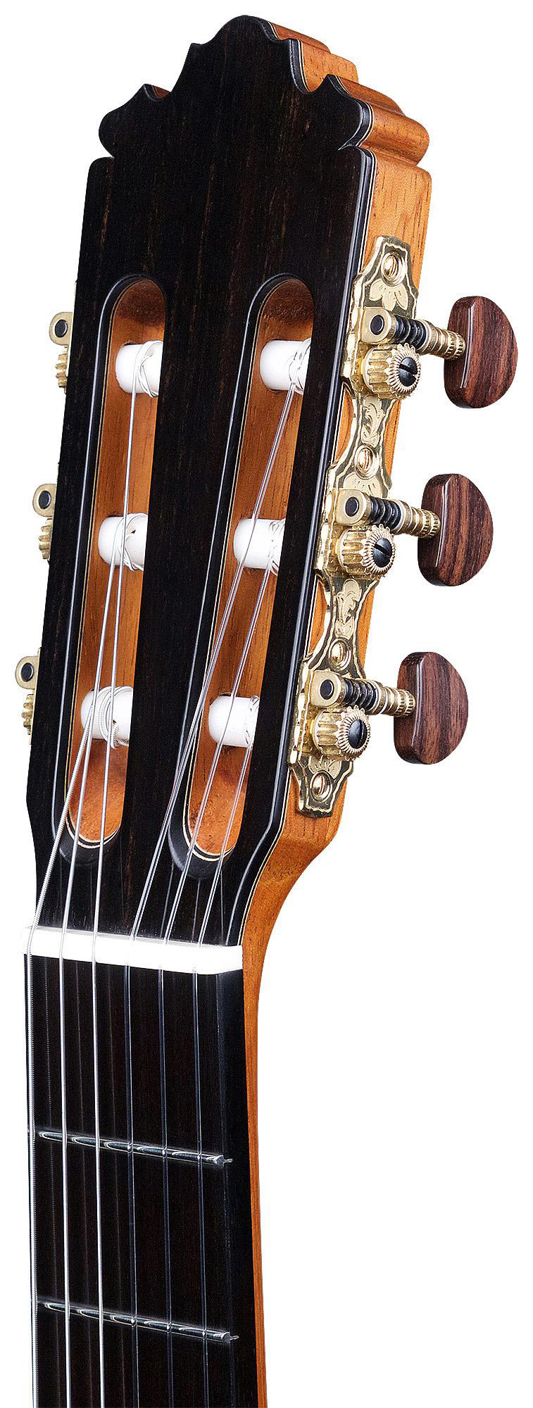 Clavijero alemán, modelo Segovia