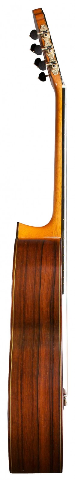 LATERAL-ARANJUEZ-e1457515874615